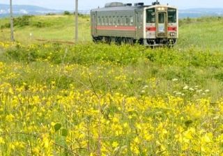 ローカル線は再生できるか 黄８線区が問いかける「選択」