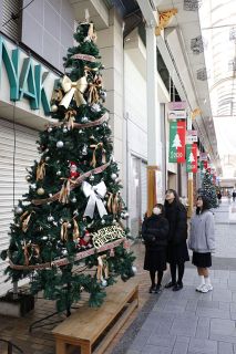 ５メートルのＸマスツリー登場　津山・商店街 ２０日にイベント