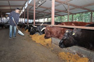 原発事故の被害と教訓伝え続ける　福島県浪江町「希望の牧場」 岡山のボランティアに記者同行