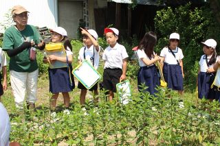 「ハッカ」勉強中です 総社・阿曽小３年生　栽培体験や見学、収穫も計画