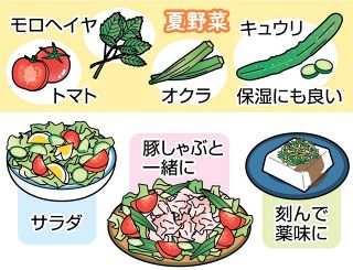 【知っておきたい　夏の肌対策】（４）夏野菜　上手に食べ、水分やビタミンを