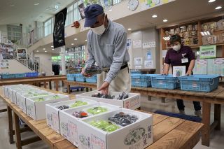 実太り良く甘いハウスブドウ並ぶ　井原の直売所・葡萄浪漫館