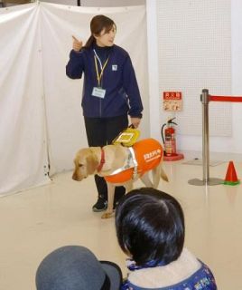 盲導犬ユーザー「受け入れる」回答は半数　飲食、宿泊…接客不安か、協会啓発取り組む