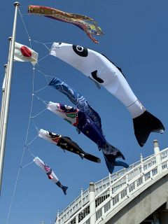 こいのぼりで繊維産業ＰＲ　倉敷 児島 ジーンズや制服デザイン