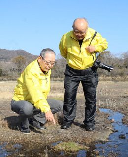 浅口・寄島町アッケシソウを守る会　成長を手助け、水環境文化賞受賞