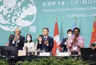 １００万種の生物が絶滅の危機、迫る転換点にどう臨むのか　生物多様性の国連会議ＣＯＰ１７、キーパーソン３人に聞く