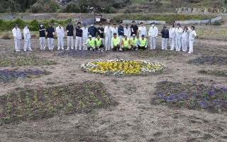 鮮やかな星をイメージ　真庭高生と住民が遊休農地に花壇