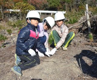 備前焼の薪に アカマツ林再生へ　市が推進組織立ち上げ 苗木植樹も