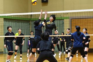 シーガルズ４日から埼玉上尾戦　 連勝フィニッシュを