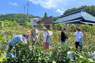 「移住婚」に自治体が期待　人口減解消に積極サポート