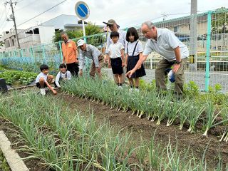 幻の特産ネギ「川口根深」福山の児童栽培　学校菜園で地域住民と協力してプロジェクトスタート