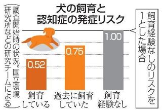 犬飼育で認知症の発症リスク減　医療費の削減効果も、国立環境研