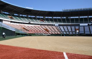 倉敷マスカット天然芝張り替え完了 ２８日から「楽天ー広島」 リニューアル後初の試合