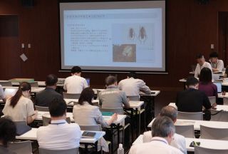岡山県、外来カミキリ被害で大規模調査へ　国などとの緊急対策会議で決定、後楽園から半径２キロ