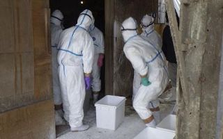 「現場の光景を思い出し涙が…」鳥インフル殺処分にかり出される自治体職員　エッグショック超えのたまご価格にも影響、国の対応は