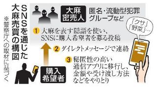 【大麻摘発最多】危うい好奇心、進む若年化　「害少ない」誤った知識も