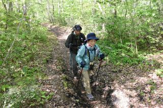 新緑の登山満喫 真庭・蒜山地域山開き　愛好家ら爽やかな汗流す