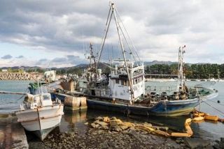 【放置漁船】漁師高齢化、重い解体負担　悪質業者横行、対策急務