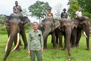 大津波の被災地、先陣切ったのはゾウ部隊　スマトラ地震でがれき撤去、野生個体数減少