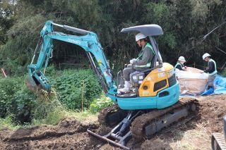 地球上最悪の侵略的植物 駆除開始　岡山県、倉敷の小田川河川敷で