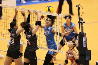 シーガルズ 大阪Ｍにストレート負け 開幕からの連敗８に