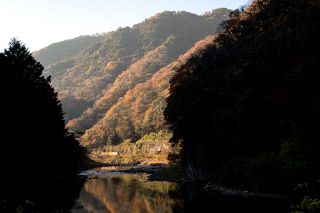 伯備線方谷・井倉間　車窓に映る豊かな四季