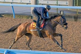 モンローウォーク、仕上がり万全　競馬、Ｇ１秋華賞の追い切り