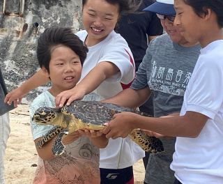 迷子のウミガメ古里へ 昨年１２月牛窓で保護　上野助教（岡山理科大）が沖縄で放流