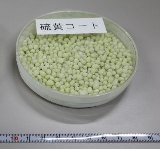 プラ代替肥料、わせ、なかて良好　岡山県農研、稲作の収量試験