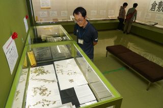 小中学生作った標本披露　昆虫、植物２１点、倉敷・自然史博物館