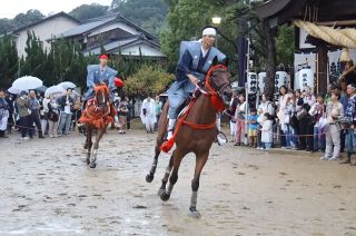 神馬２頭、境内を勇壮に駆け抜ける　浅口・寄島の大浦神社で伝統の神事