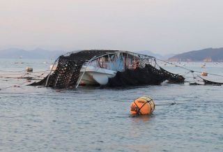 玉野で養殖ノリの収穫本格化　胸上地区、「潜り船」で刈り取り