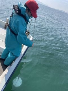 備讃瀬戸 透明度１００年前レベルに　規制強化で改善、栄養不足との指摘も