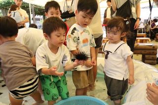 魚やカメと触れ合って　玉野海洋博物館で相次ぎイベント