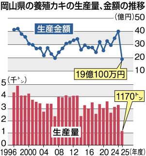 岡山県内２５年度カキ生産量６４％減１１７０トン　量、額とも過去最低、大量死被害響く
