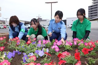 興陽高生が花壇植栽　岡山南署で育てた260株