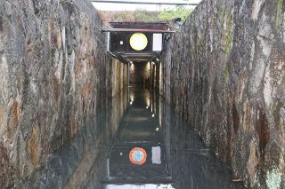 台風６号、岡山市北区西島田で地下道冠水、倒木も