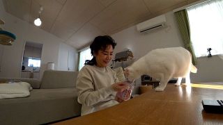 “36匹の猫”と暮らしていた名取裕子、サンシャイン池崎の自宅を訪問　野良猫にマル秘テクニックさく裂