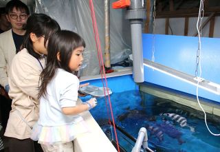 日曜の「ふれあいデー」　４月から平日も月１回開催 玉野海博