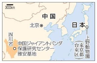 シャンシャン返還された中国で邦人推し活　健やかに育つ姿見守る、パンダ再来期待