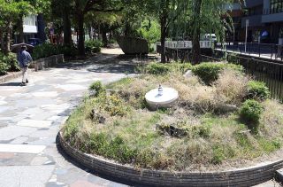 【水と緑の回廊　西川緑道公園開園５０年】（下）次代に向けて　市民参画 新たな動き