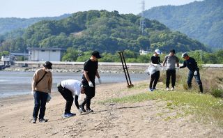 カブトガニを守れ　神島水道一帯で２４０人海岸清掃