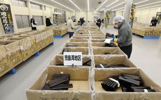 岡山県産ノリ初入札　豊作傾向も高値水準続く