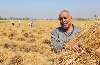 【イラン情勢と農業】肥料高騰、世界農業を直撃　ホルムズ封鎖、供給網混乱
