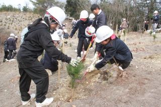 備前の児童 森林が果たす役割学ぶ　伊部つながりの森 マツの苗木植樹