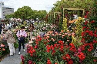 福山の魅力２０、３０代市外女性に発信　市が交流人口増へ「ブランド戦略」