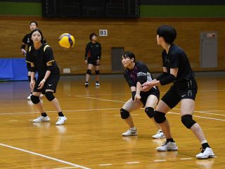 ＧＯシーガルズ ２１、２２日アウェー東レ戦　バレーＳＶ女子