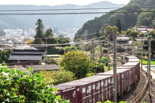 伯備線新見駅から苦ヶ坂トンネルへ　駅そばと柿と菱川吉衛