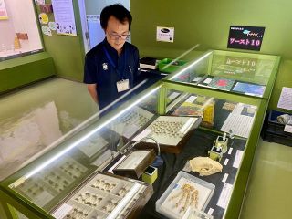 アブナイ動植物など２３０種展示　倉敷 自然史博物館で特別展