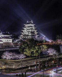 夜桜や福山城撮影、藤井さん金賞　ふくやま観光写真コンテスト